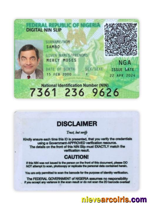 Nigeria digital NIN slip card